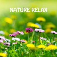Tony Star - Nature Relax