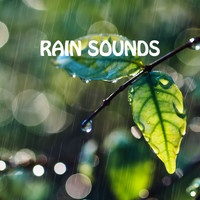 Tony Star - Rain Sounds
