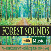Robbins Island Music Group - Forest Sounds With Music: Wilderness Sounds With Soft Relaxing Music for Deep Sleep