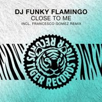 DJ Funky Flamingo - Close to Me