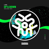 L!nk - Up & Down