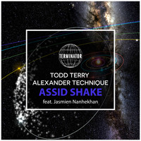 Todd Terry & Alexander Technique - Assid Shake