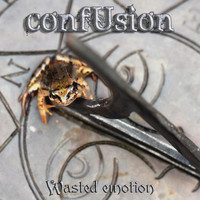 Confusion - Wasted Emotion