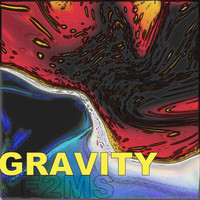 F2MS - Gravity