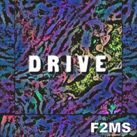 F2MS - Drive