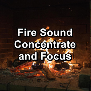 Ocean Sounds Collection - Fire Sound Concentrate and Focus