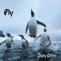 Judy Aron - Fly