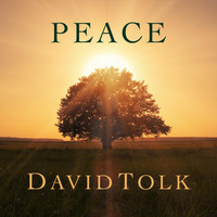 David Tolk - Peace