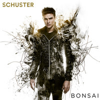 Schuster - Bonsai