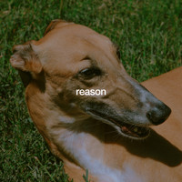 Jordana - Reason (Explicit)