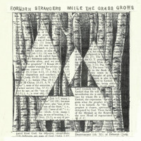 Forlorn Strangers - While the Grass Grows