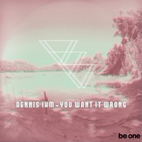 Dennis Ihm - You Want It Wrong