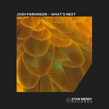 Josh Parkinson - What's Next