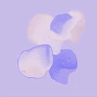 Variéras - Variables