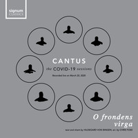 Cantus - O Frondens Virga (Live)