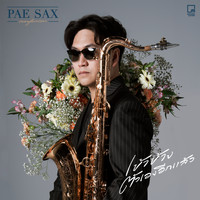 Pae Sax - เข้าข้างตัวเอง(อีกแล้ว) (Chilling Version)