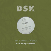 DSK - What Would We Do - Eric Kupper Mixes