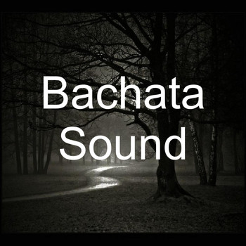 Various Artists - Bachata Sound