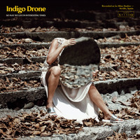 Indigo Drone - So May We Live in Interesting Times