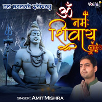 Amit Mishra - Om Namah Shivay