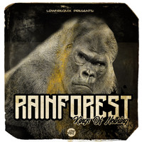 Rainforest - Kings Of Nothing