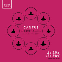 Cantus - Be Like the Bird (Live)