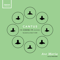 Cantus - Ave Maria (Live)