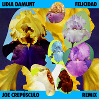 Lidia Damunt - Felicidad (Remix)
