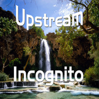 Incognito - Upstream (A1)