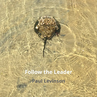 Paul Levinson - Follow the Leader