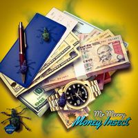 Mr Merry - Money Insect