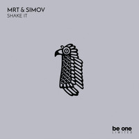 mrT & SimoV - Shake It