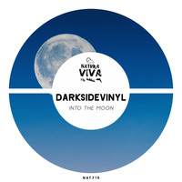 Darksidevinyl - Into the Moon