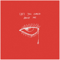 Zes - (if) you cared about me