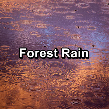 Nature Spirit - Forest Rain