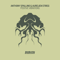 Anthony Spallino & Aurelien Stireg - Positive Vibrations