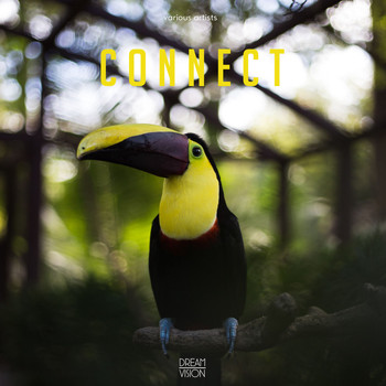Various Artists - Connect