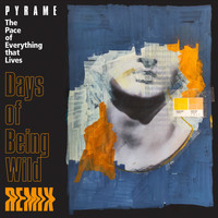 Pyrame / - The Pace of Everything that Lives (Days of Being Wild Remix)