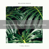 Baby Sleep Music, Pure Deep Sleep White Noise - Leading White Noise Collection For Total Relax