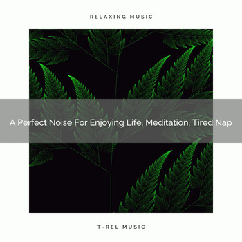 De-stressing White Noise - A Perfect Noise For Enjoying Life, Meditation, Tired Nap