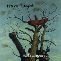Brian Baker / - Hard Light