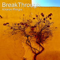 Khoron Pringle - Breakthrough
