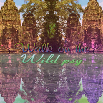 Mr Swince / - Walk on the Wild Psy