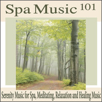 Robbins Island Music Group - Spa Music 101: Serenity Music for Spa, Meditating, Relaxation and Healing Music