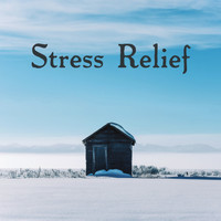 Zen Mechanics, Stress Relief Calm Oasis, Deep Sleep Relaxation - Stress Relief