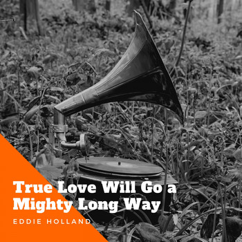 Eddie Holland - True Love Will Go a Mighty Long Way
