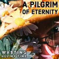 A Pilgrim of Eternity - Wasting All My Time (Explicit)