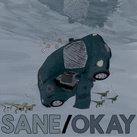 How They Fall - Sane / Okay