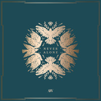 Aaron Shust - Never Alone