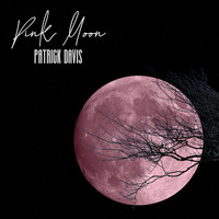 Patrick Davis - Pink Moon